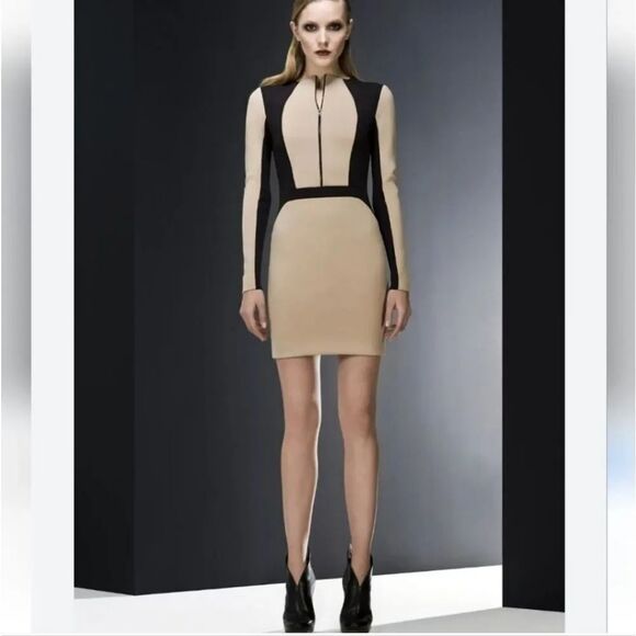 NEW Robert Rodriguez Pre-Fall 2013 Collection Intermix Colorblock Neutral Dress - Picture 15 of 15